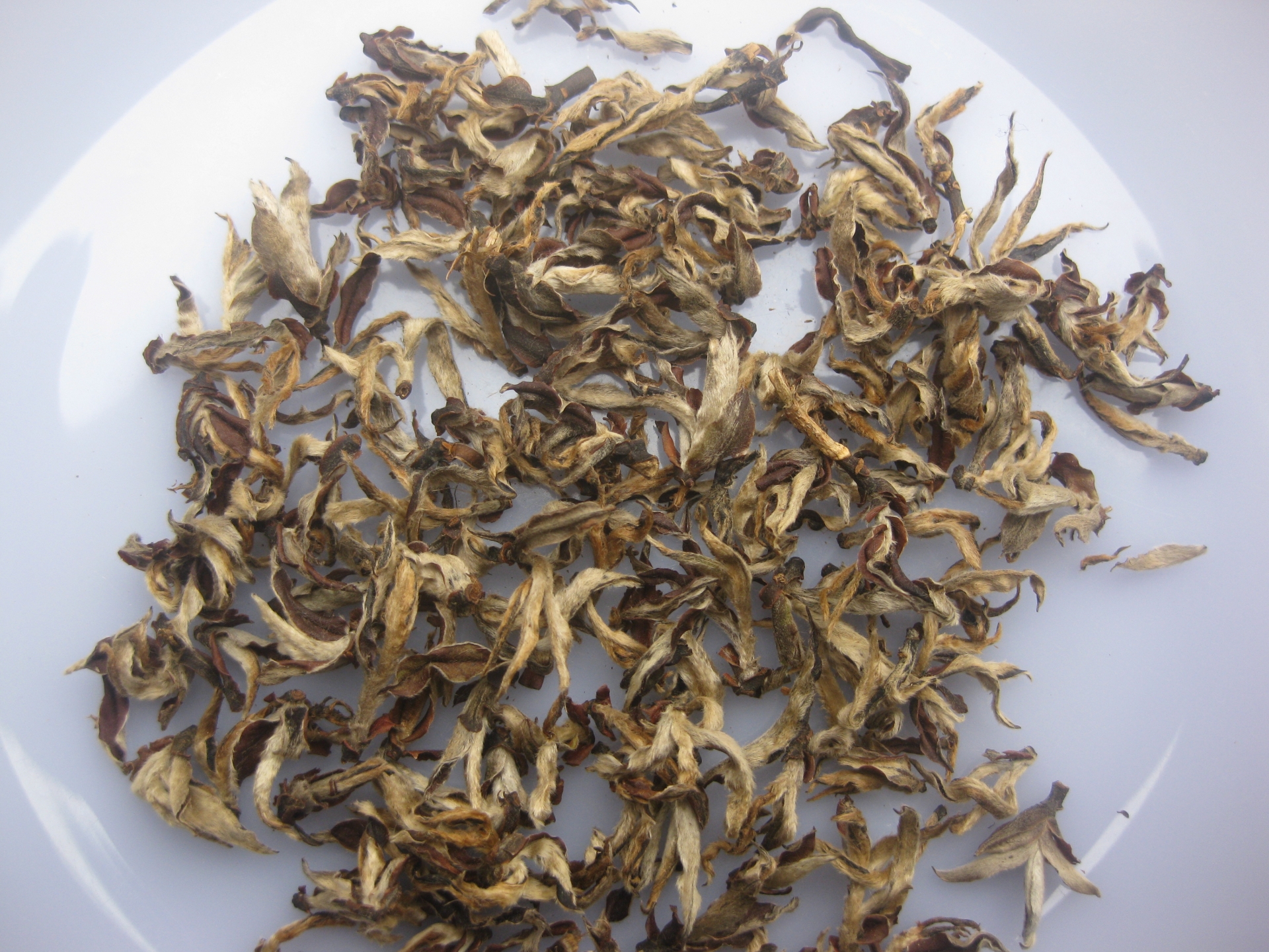Hồng Trà Tiên