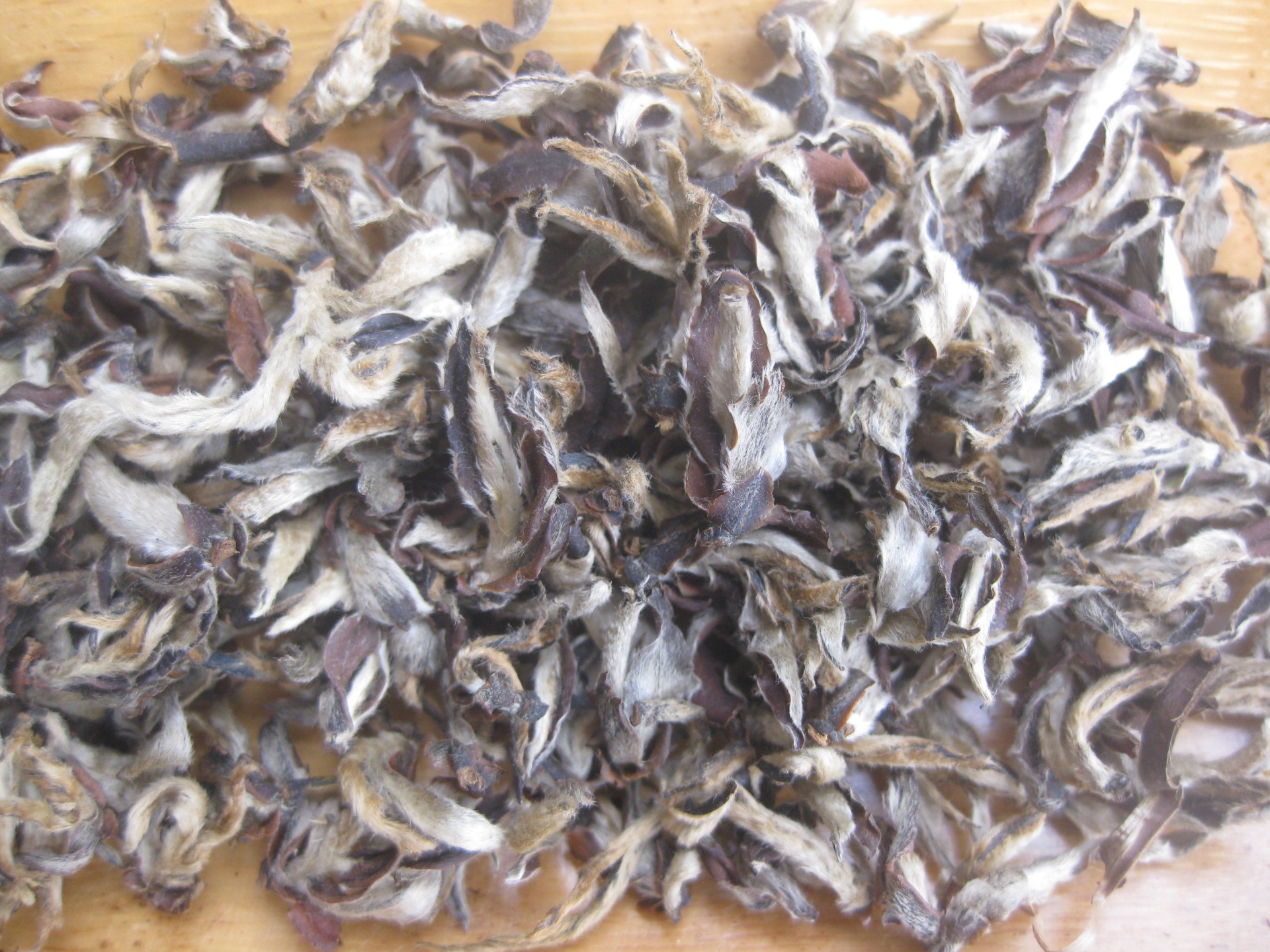 Hồng Trà Tiên