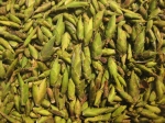 Trà Móng Rồng