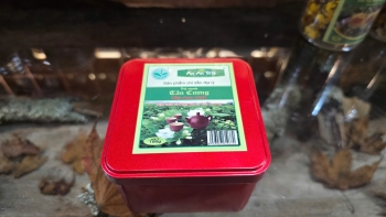 Trà xanh Tân Cương ướp hoa Nhài, đóng gói 10gr đựng trong hộp thiếc 100gr(10 gói 10gr)