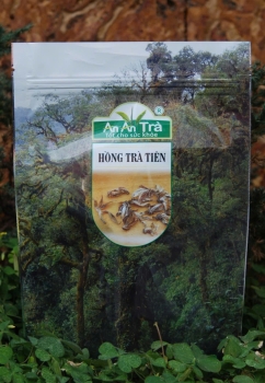 Hồng Trà Tiên