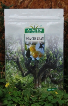 Hoa chè shan tuyết cổ thụ