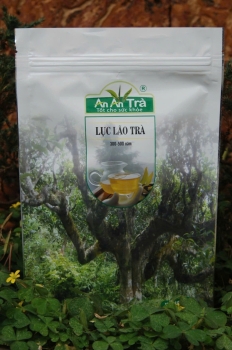 Lục Trà shan tuyết cổ thụ 300-500 năm