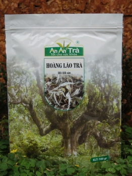 Hoàng Lão Trà shan tuyết cổ thụ 300-500 năm